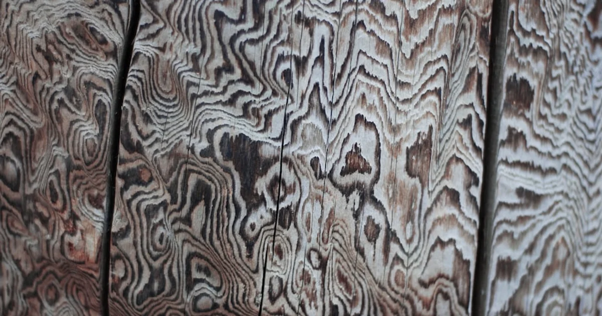 أسرار النسيج في العصر البرونزي: كيف صنع أجدادنا ملابسهم الأولى؟