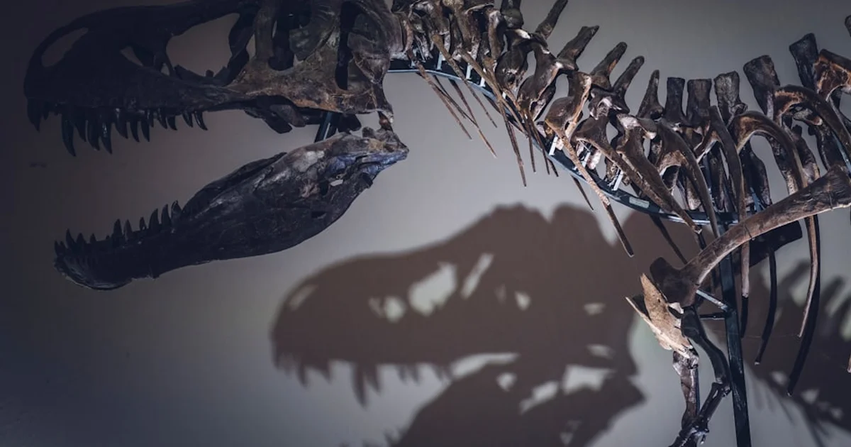 تعافي الحياة بعد انقراض الديناصورات حدث بسرعة مذهلة لم يتوقعها العلماء