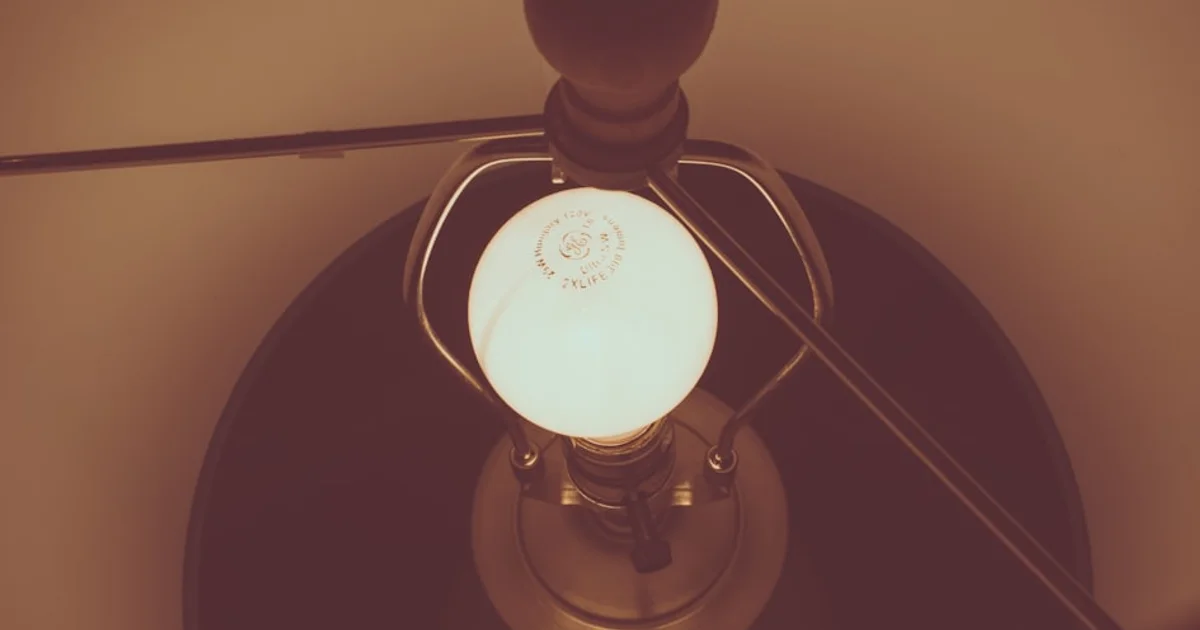 أسرار عالم النمل المجهري: كيف كشف مسرع الجسيمات عن تفاصيل مذهلة؟