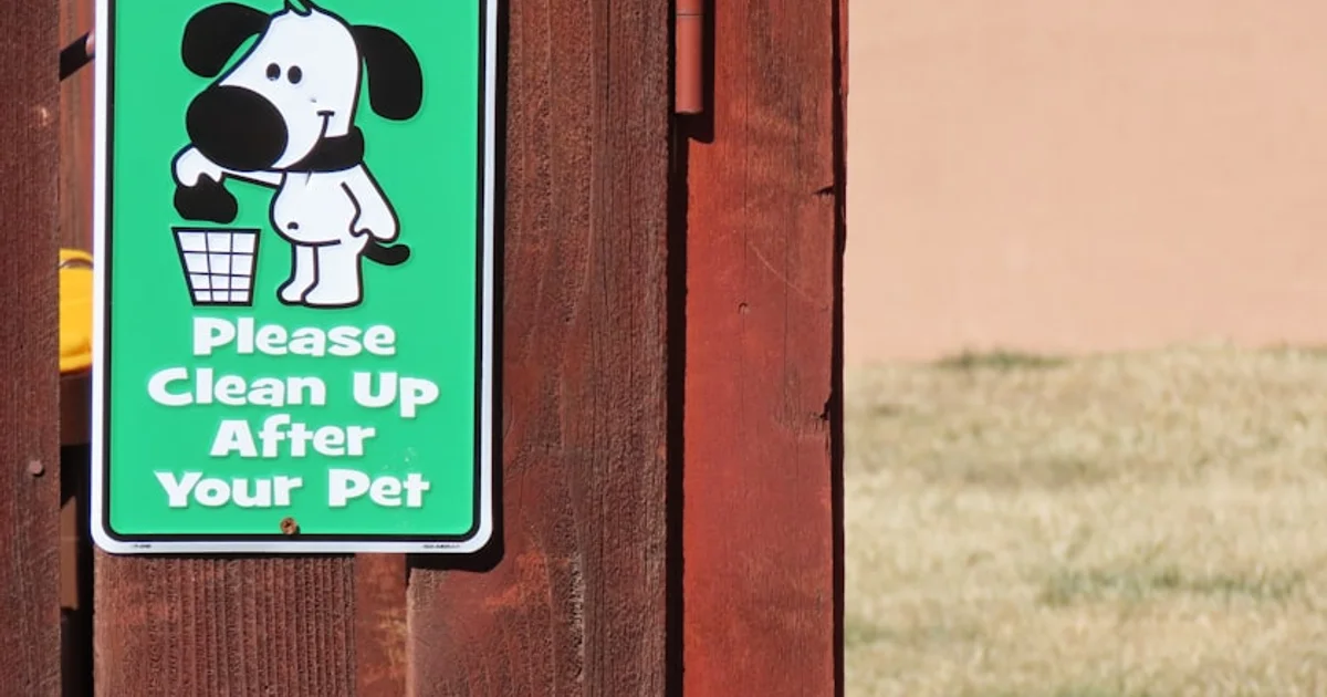 خطر غير مرئي في منزلك: كيف تحمي أليفك من التسمم بالمعادن الثقيلة