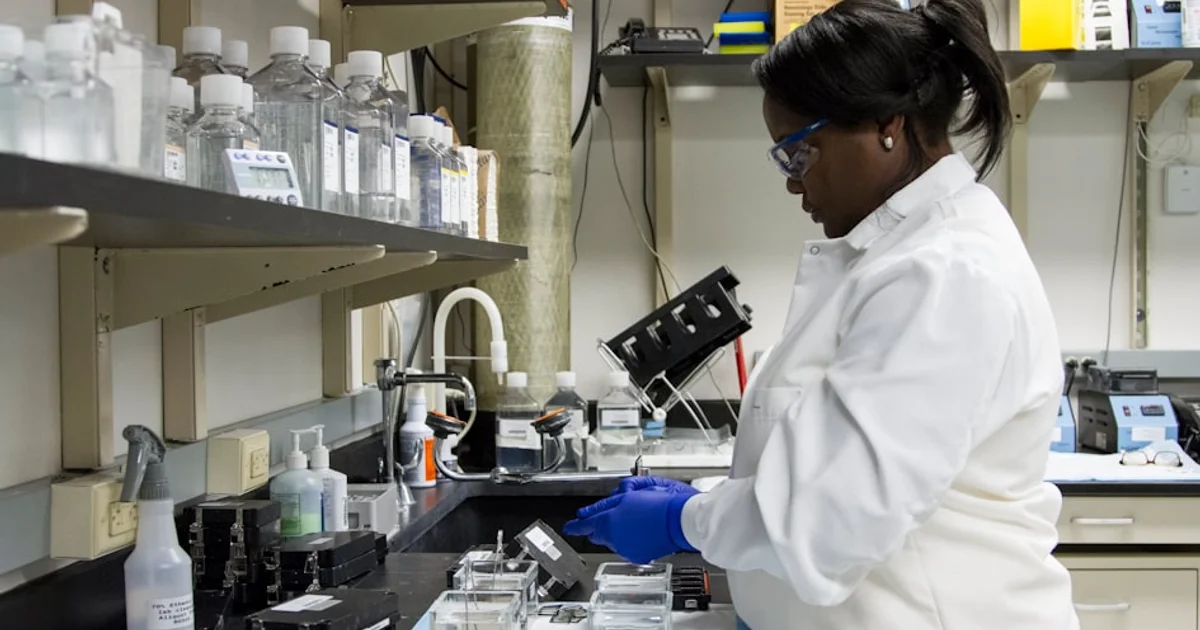 أسرار النواة: كيف تفتح بوابات الخلية أعظم معجزات الحياة المجهرية؟