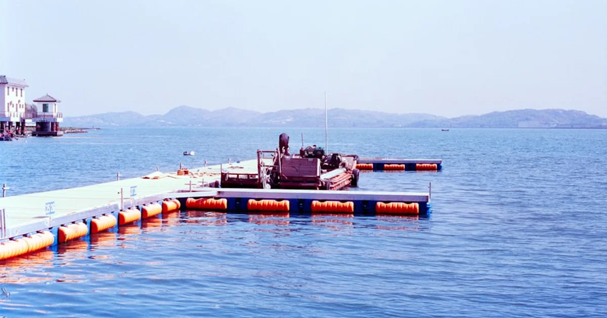 هل خدعتنا الطبيعة؟ اكتشاف جيني يقلب موازين تصنيف القروش في البحار