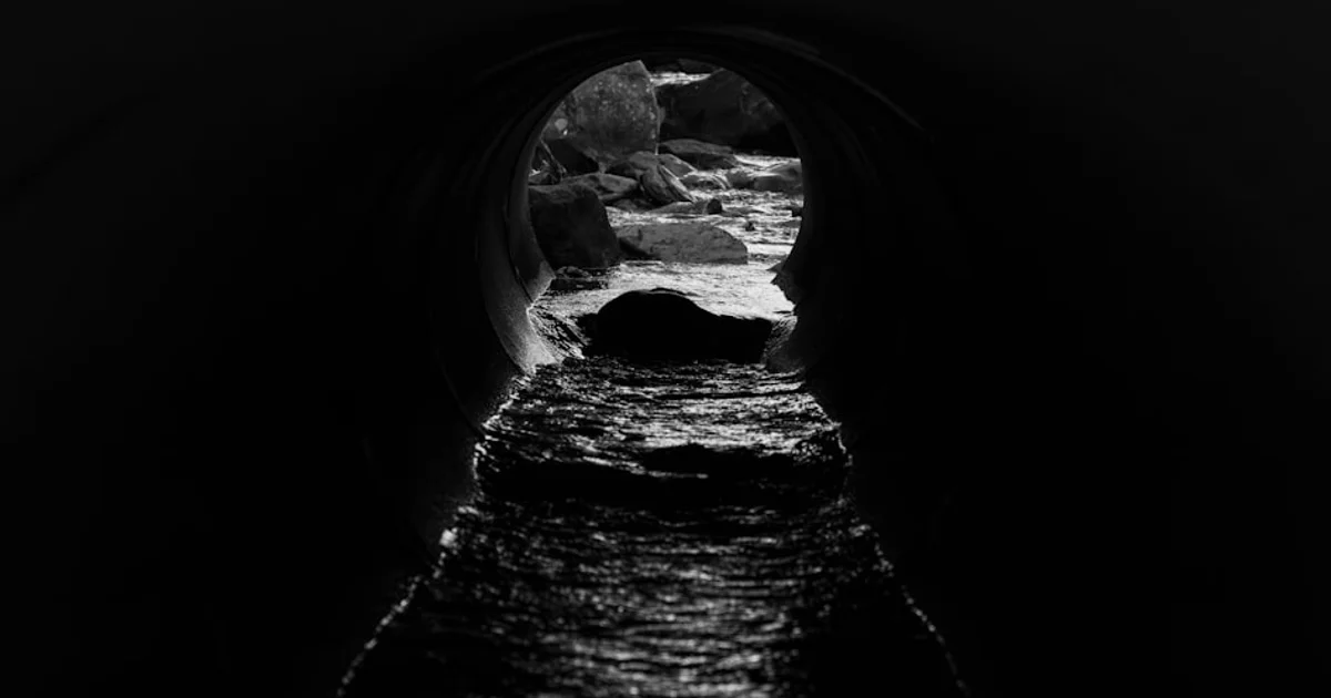 كيف يمكن لعاداتنا اليومية البسيطة حماية الموارد المائية من أزمة وشيكة؟