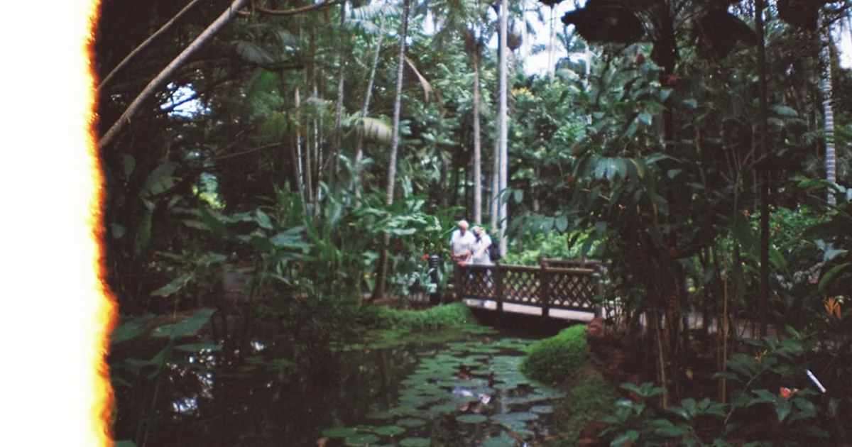 حرائق الغابات الاستوائية: كارثة مناخية غير مسبوقة منذ ألفي عام